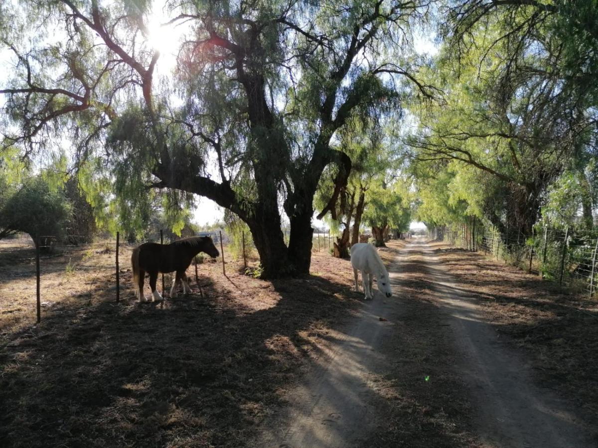 Doornfontein Guest Farm Hotel Cradock Exterior photo