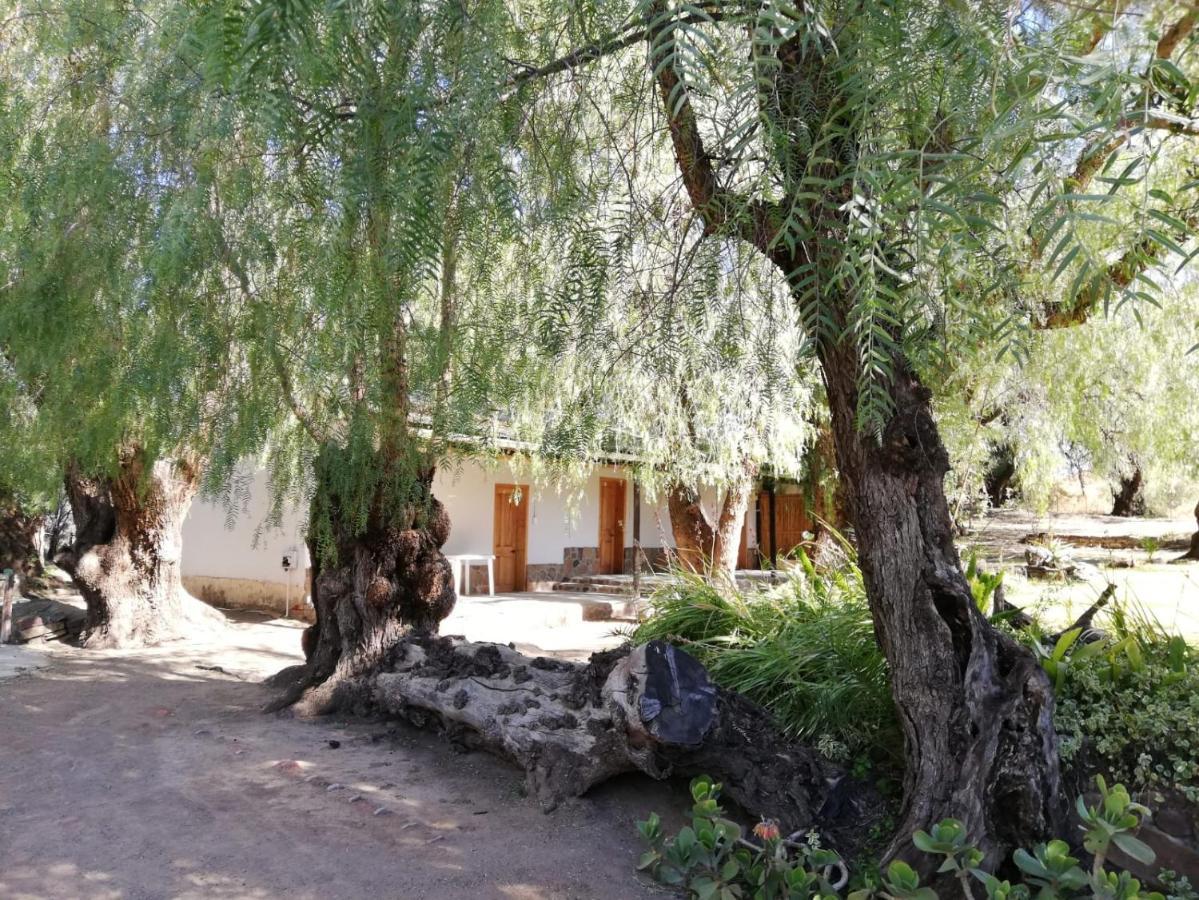 Doornfontein Guest Farm Hotel Cradock Exterior photo